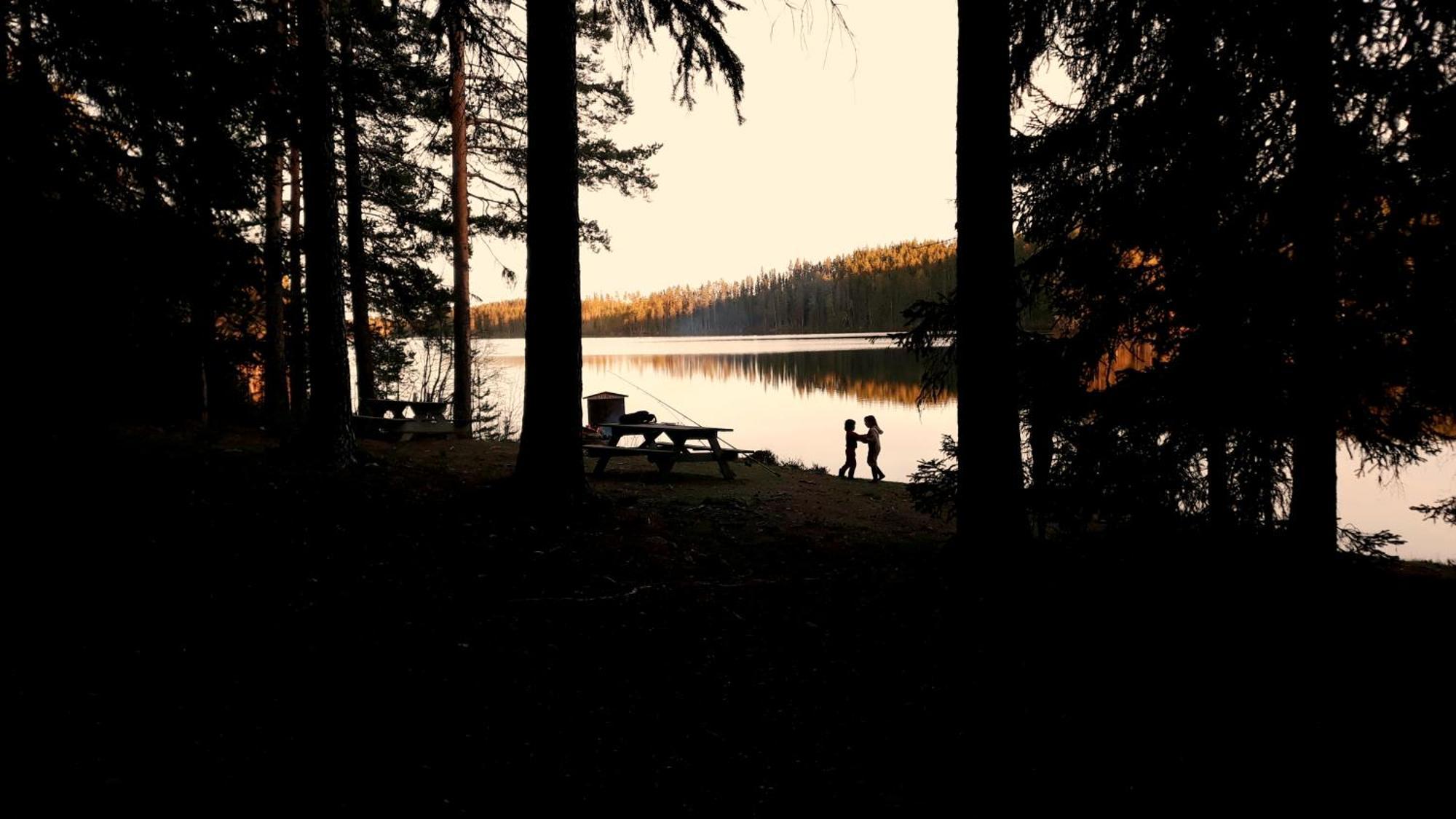 Cozy Stuga - Mountain View Ramsele Kültér fotó
